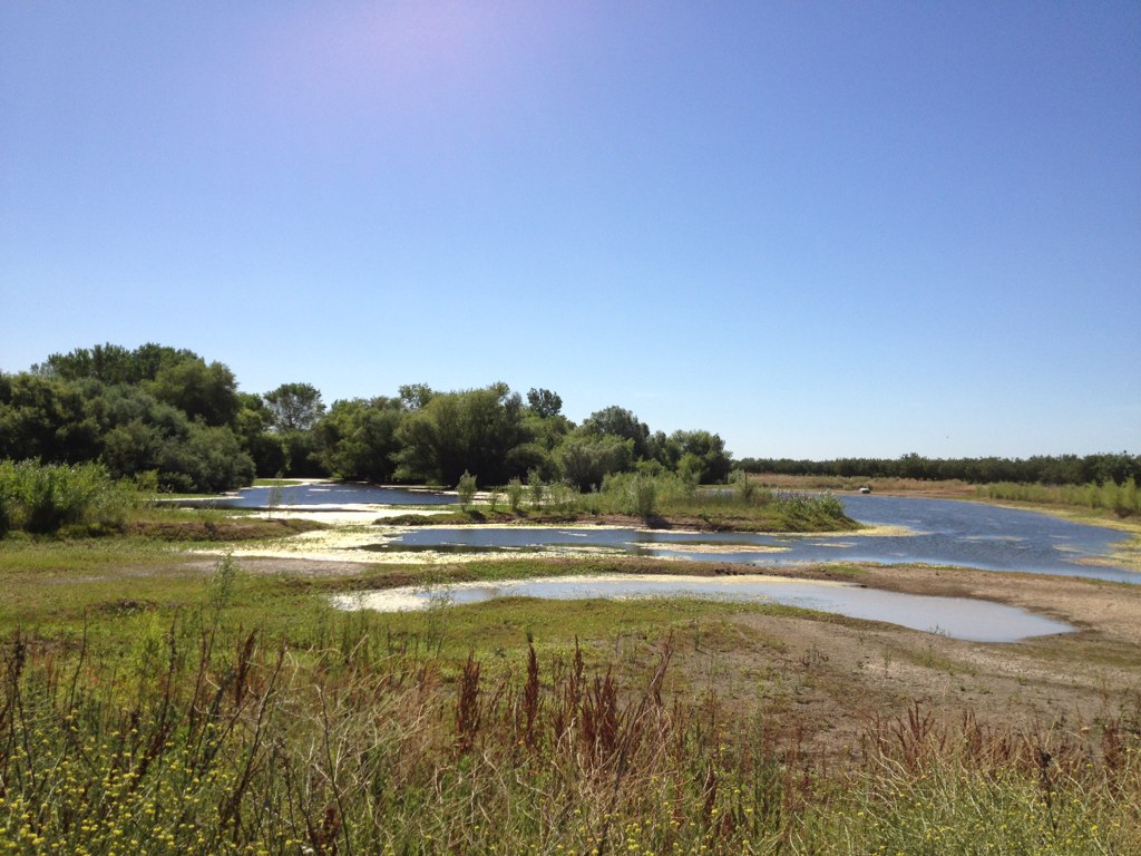 Farm lake and bird sanctuary