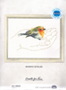 RTO Counted Cross-Stitch Kit - Warmth in palms - Hand Bird - 16.5cm X 8.5cm