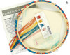 Dimensions Floral Moth Needlepoint Embroidery Kit with printed fabric, pattern, needle, threads & Bamboo Hoop - 6" diameter