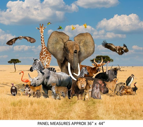 African Safari - 90cm Combo Panel - by Kennard & Kennard