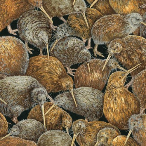 Crowded Kiwi