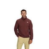 The North Face Evolution Simple Dome ¼ Zip