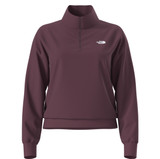 The North Face Women's Evolution Simple Dome Regular ¼ Zip