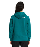 The North Face Graphic Injection Hoodie