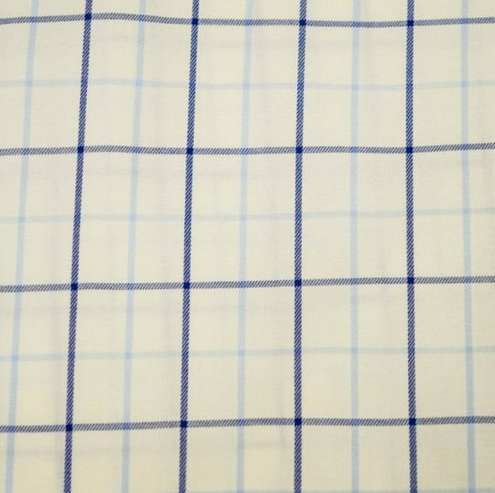 F/X Fusion B&T Long Sleeve Twill Multi Check Shirt - Ecru/Blue