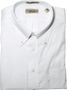 Thomas Dylan Tall Button Down Collar