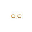 Brenda Grands Zenith Hoops Small