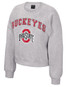 Colosseum Ohio State Buckeyes Game Day Fleece Crew