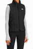 The North Face Junction Insulated Vest