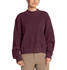 The North Face Women's Chabot 2.0 Mock-Neck