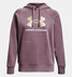 UA® Rival Glitter Hoody