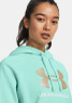 UA® Rival Glitter Hoody