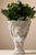 Daphne Cement Bust Pot
