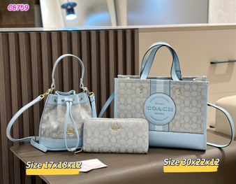 Designer Handbag Multi-Piece Set Pre-order / A4 Quality / Turnaround time 3-4 Weeks / PC3-1761417431
