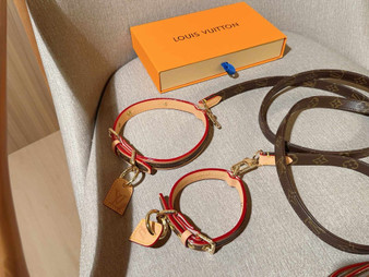 Designer dog leash pre-order/ 1:1 quality / TAT 3-4 weeks / pc#2