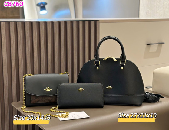 Designer Handbag Multi-Piece Set Pre-order / A4 Quality / Turnaround time 3-4 Weeks / PC3-1761417421