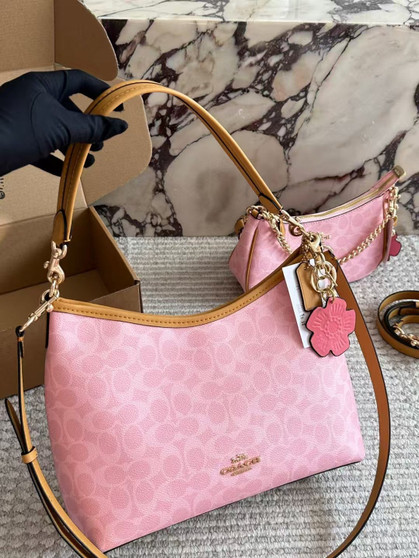 Designer handbag pre-order / size 31*23cm / 1:1 quality / Turnaround time 2-4 weeks  