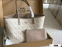 Designer handbag pre-order-1761413585