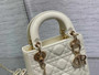 Designer handbag pre-order / master quality / turnaround time 2-4 weeks / size 17*7*15cm