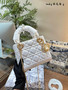 Designer handbag pre-order / mirror quality / turnaround time 2-4 weeks / size 17 cm
