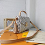 Designer LV handbag pre-order / Turnaround time 2-4 weeks / size 25*17*9cm / 1:1 quality