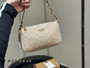 C**** Designer handbag pre-order / turnaround time 2-4 weeks /  size 19*12cm