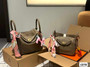 Designer handbag pre-order  / 1:1 quality / turnaround time 2-4 weeks  / two sizes available / code 53-23