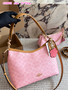 Designer handbag pre-order / Size: 31*23 cm / 1:1 quality / Turnaround time 2-4 weeks