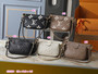 Designer handbag pre-order / Size: 25*14.5 / 1:1 quality / Turnaround time 2-4 weeks