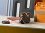 Designer handbag pre-order / size 24*13*4cm / Turnaround time 2-4 weeks 