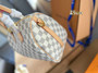 Designer handbag pre-order/ Speedy 25 / 1:1 quality / TAT 3-4 weeks / pc#2