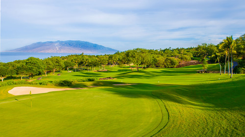 希少！90sヴィンテージ Imperial Wailea Golf Course 希少！90s