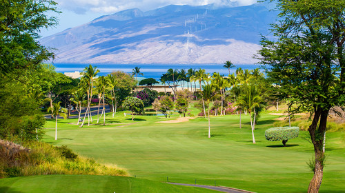 Wailea Emerald Golf Course | Wailea Golf | Maui Golf Shop