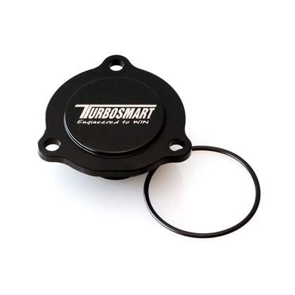 Part Number:   TS-0203-2002
Description:     BOV/Bypass Valve Block Off Plate
Color:   Black 