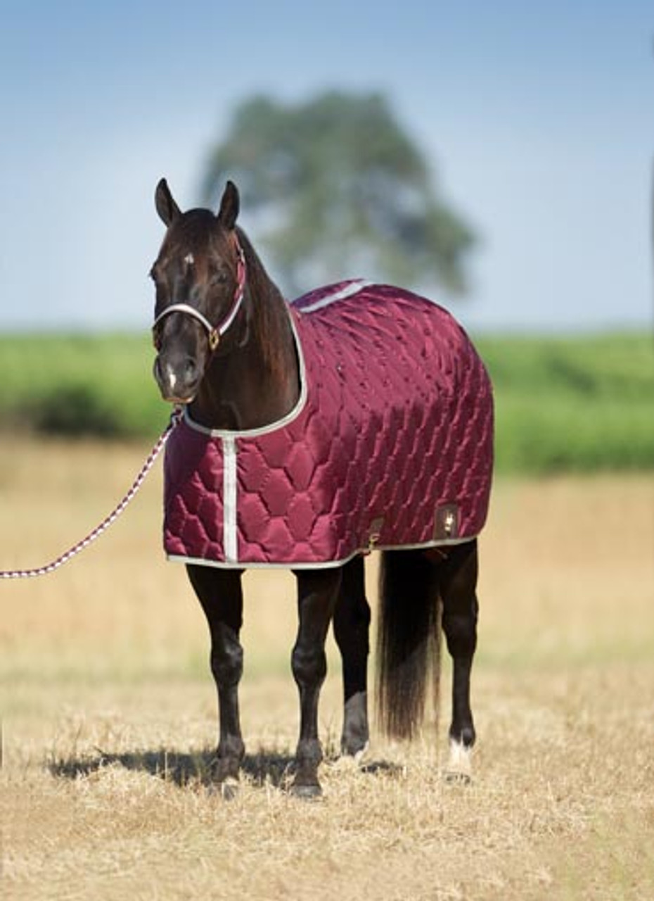 Stable blanket California closed front