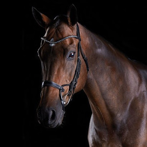 Made of fine European leather
Anatomically shaped headpiece
Gorgeous crystal accented browband Made of fine European leather
Anatomically shaped headpiece
Gorgeous crystal accented browband