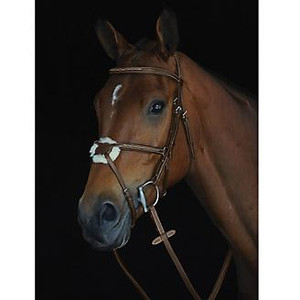 Collegiate Comfort Crown Fancy Stitched Raised Cavesson Bridle