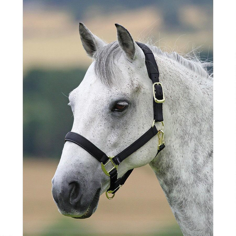 Features removable padding on crown piece
Breakaway feature to ensure the safety of your horse
Adjustable nose and crown piece