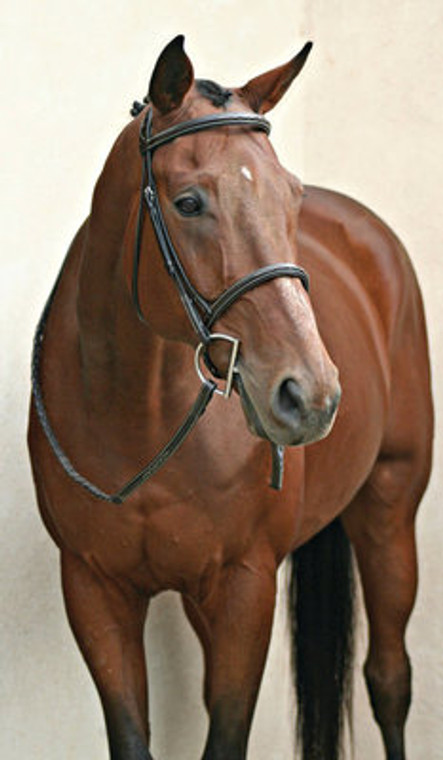Made of premium leather
Padded inlaid crown
Raised fancy stitched browband and cavesson
Matching laced reins 