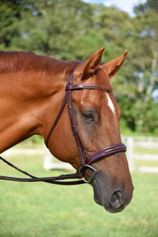 Made of premium Italian leather
Padded fancy stitched noseband and browband with distinctive shortened round raising.
Comes complete with matching laced reins