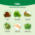 Boost Focus Fuel