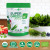 Green Detox Packs