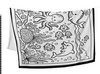 Kids Fantasy Ocean Friends #3828 60x50 Throw Blanket