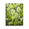 Roses & Circles #4131 Lime Green 11x14 Canvas