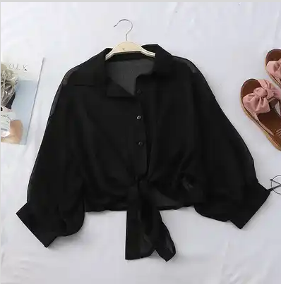 Sheer Chiffon Blouse (Front)