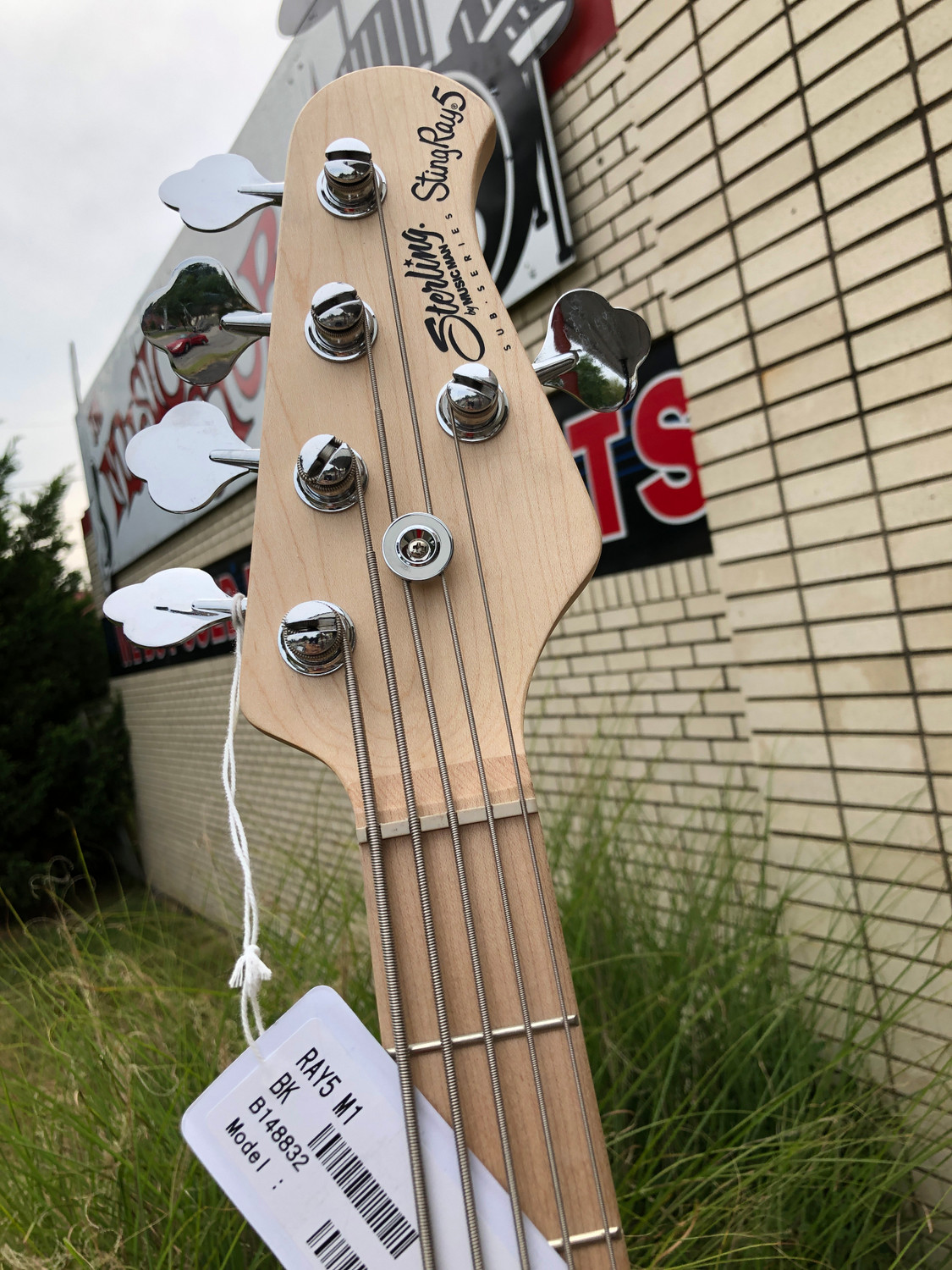 2022年ファッション福袋 Sterling by MUSIC MAN Ray25CA StingRay5