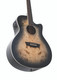 Washburn Deep Forest Burl ACE Acoustic Guitar - Black Fade - Angle View