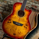 Washburn Deep Forest Burl Grand Auditorium Acoustic Electric Guitar Amber Fade - Angle View