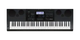 Casio WK6600 76-Key Portable Arranger Digital Piano