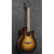 Ibanez AEG50 Acoustic Guitar, Dark Honey Burst, High Gloss